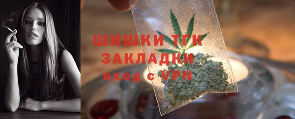 дживик Володарск
