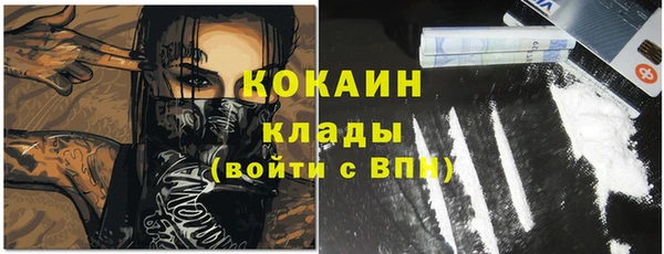 мдпв Вязьма