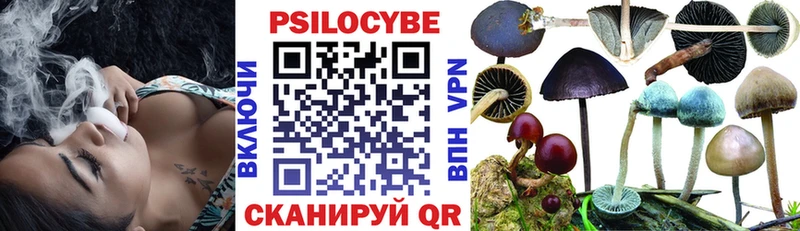 где продают   mega вход  Псилоцибиновые грибы Psilocybine cubensis  нарко площадка официальный сайт  Жердевка 